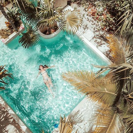 Hotel Buenavista Bacalar Jungle Experience Exteriér fotografie