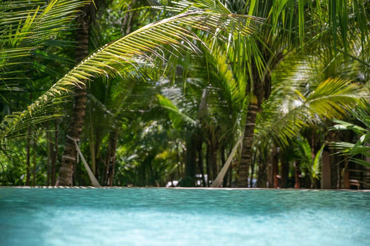 Hotel Buenavista Bacalar Jungle Experience Exteriér fotografie