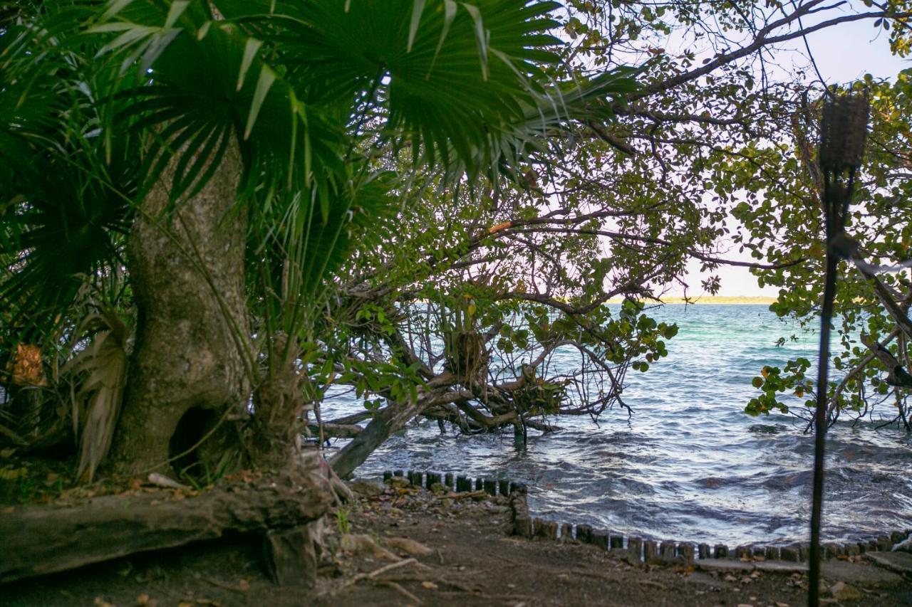 Hotel Buenavista Bacalar Jungle Experience Exteriér fotografie