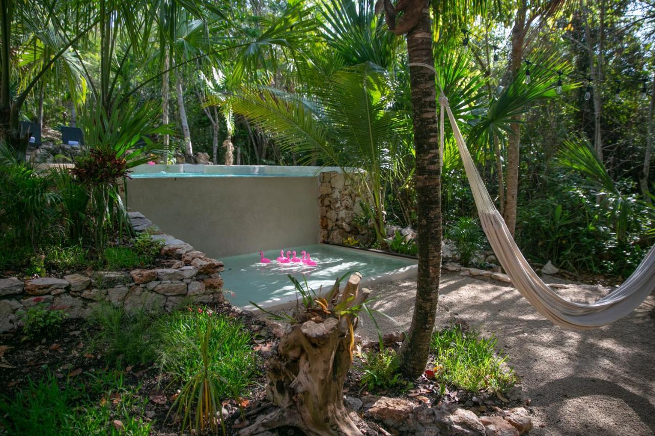 Hotel Buenavista Bacalar Jungle Experience Exteriér fotografie