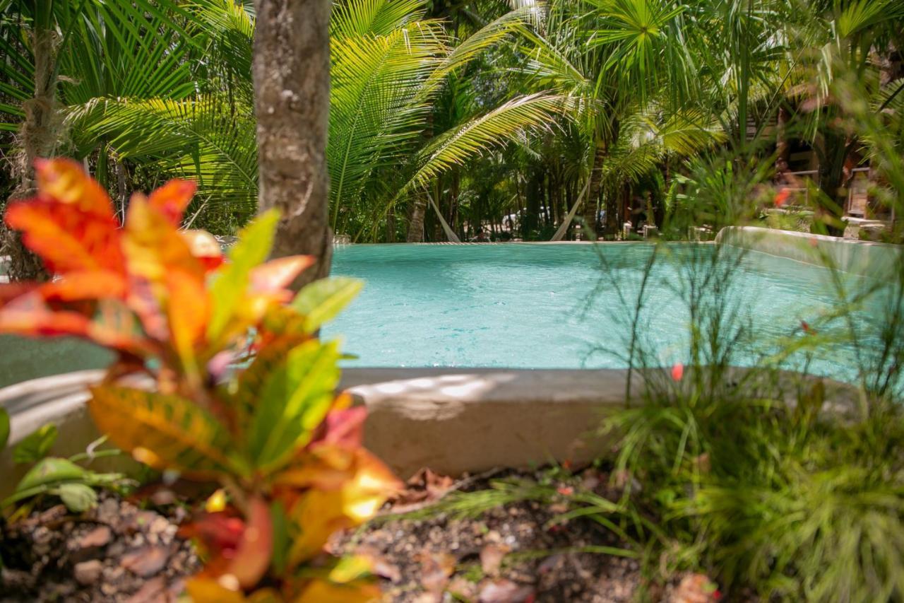 Hotel Buenavista Bacalar Jungle Experience Exteriér fotografie