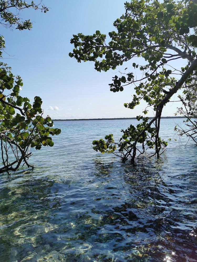 Hotel Buenavista Bacalar Jungle Experience Exteriér fotografie